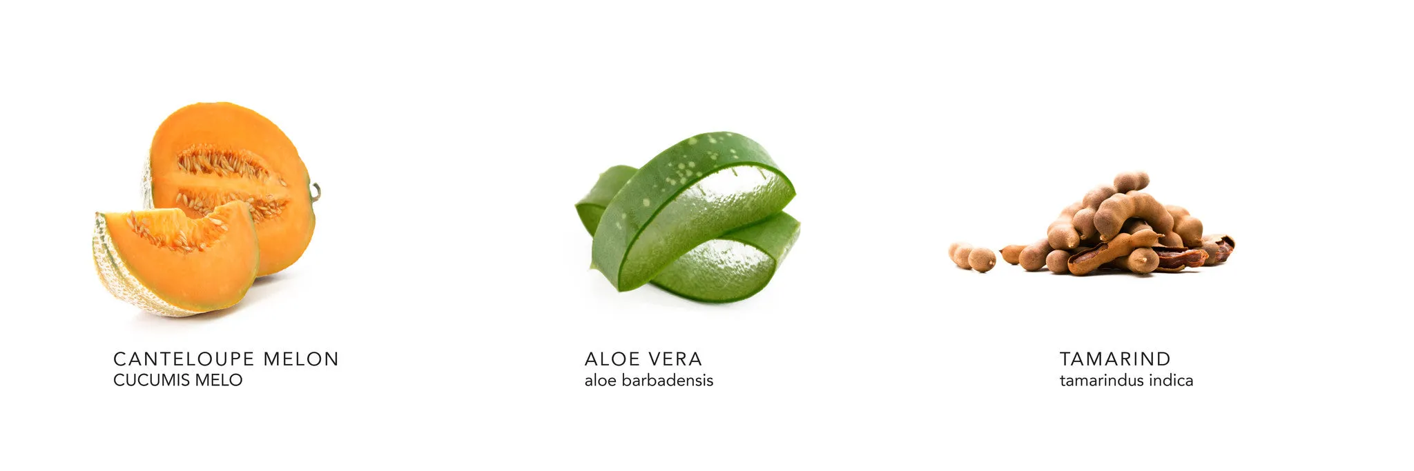 MELON PEPTIDE CREME GEL (anti-aging)